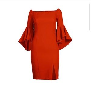 NWT Off the Shoulder Bell Sleeve Bodycon Dress